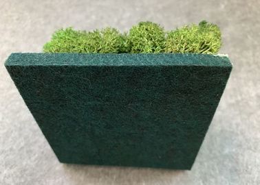 緑植物の塵を払うこと装飾的な音響パネルの防音の軽量の容易